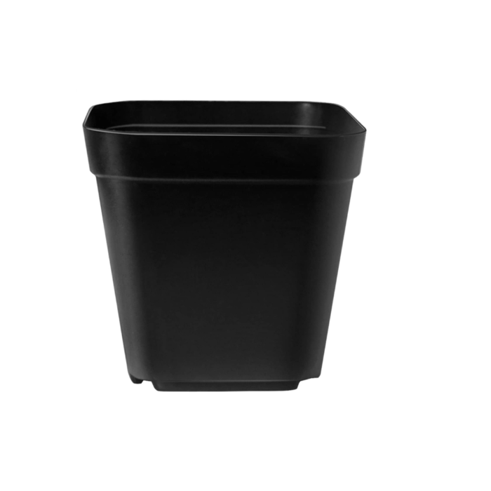 FG ZAIN Square Black Nursery Pots – 6.8 X 6.8 X 7 CM, Durable Plastic Seedling Containers with Drainage Holes, Ideal for Seed Starting, Cuttings, and Transplanting, Pack of 30, Plant Flower Pots