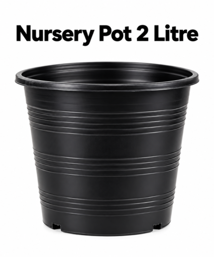 2-Litre Black Nursery Pot