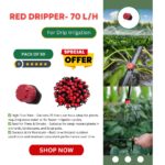 red-pack of 50