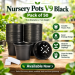 Nusery pots pack of 50