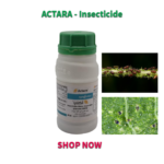 ACTARA- INSECTICIDE