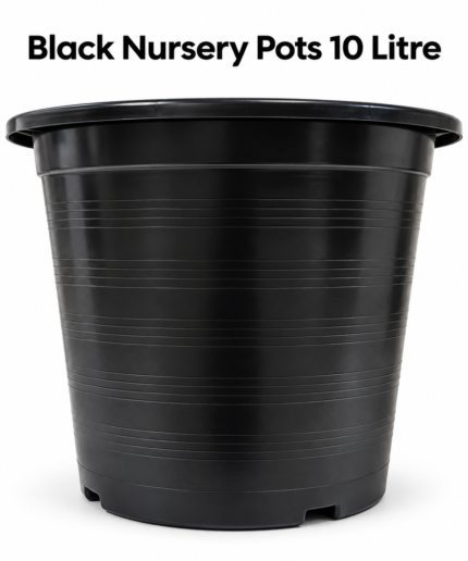 Black 10-Litre Nursery Pot Product Shot