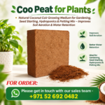 cocopeat