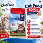 Cat Food 10 Kg Salmon Flavour | Complete & Balanced Dry Cat FOOD