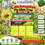 Catchmaster Fly Glue Trap – 30 ft Roll, Indoor/Outdoor Fly Paper Sticky