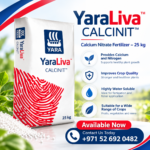 yaraliva