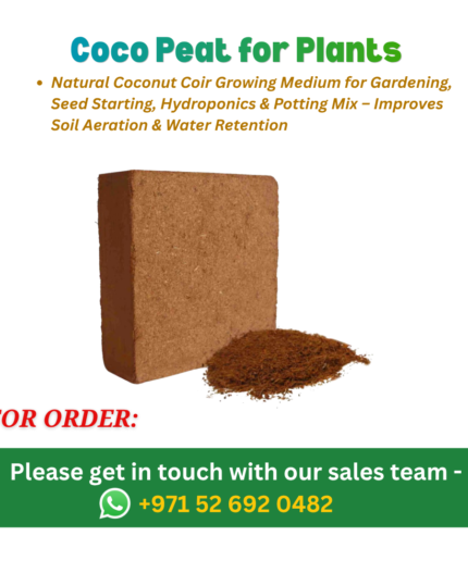 Coco Peat for Plants