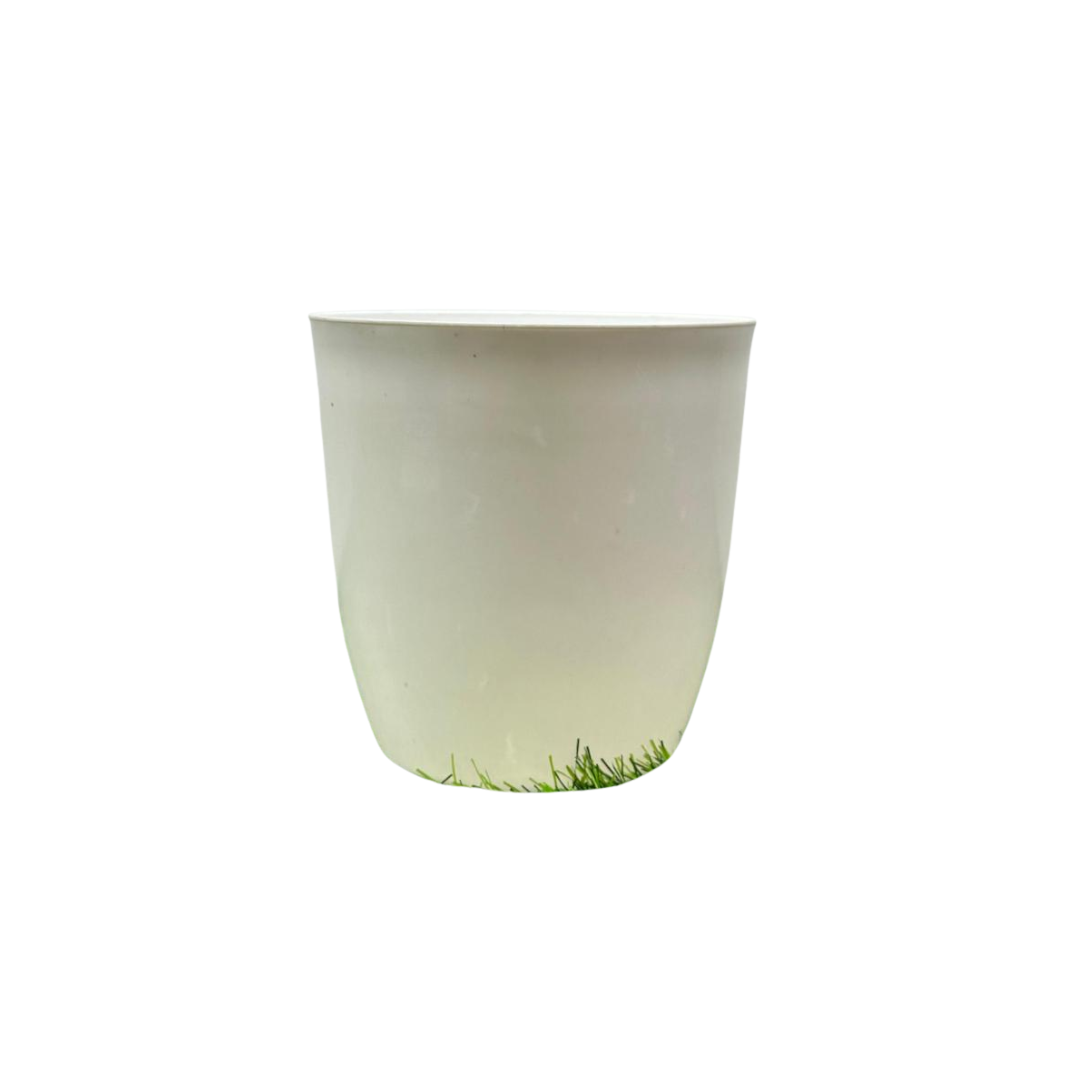 Decorative pots (2) Decorative pots (2)