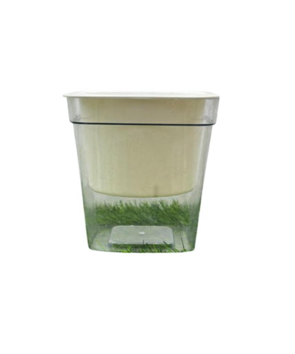 Decorative pots (34)