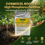 COSMOCEL ROOTEX – High Phosphorus Fertilizer
