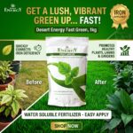 DESERT ENERGY FAST GREEN, 1kg – Quick Green Up for Lawns