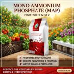 Mono Ammonium Phosphate (MAP) Fertilizer – 25 kg Bag