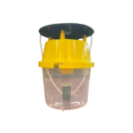 MOTH BOTTLE (1)