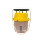 MOTH BOTTLE