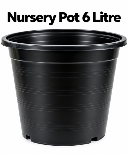 Nursery Pot 6 Litre Product Photo