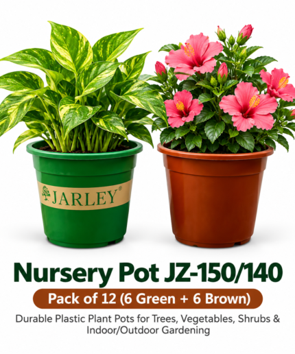 Nursery Pots with Lush Plants