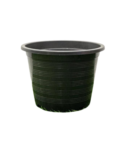 Nursery pot (10)