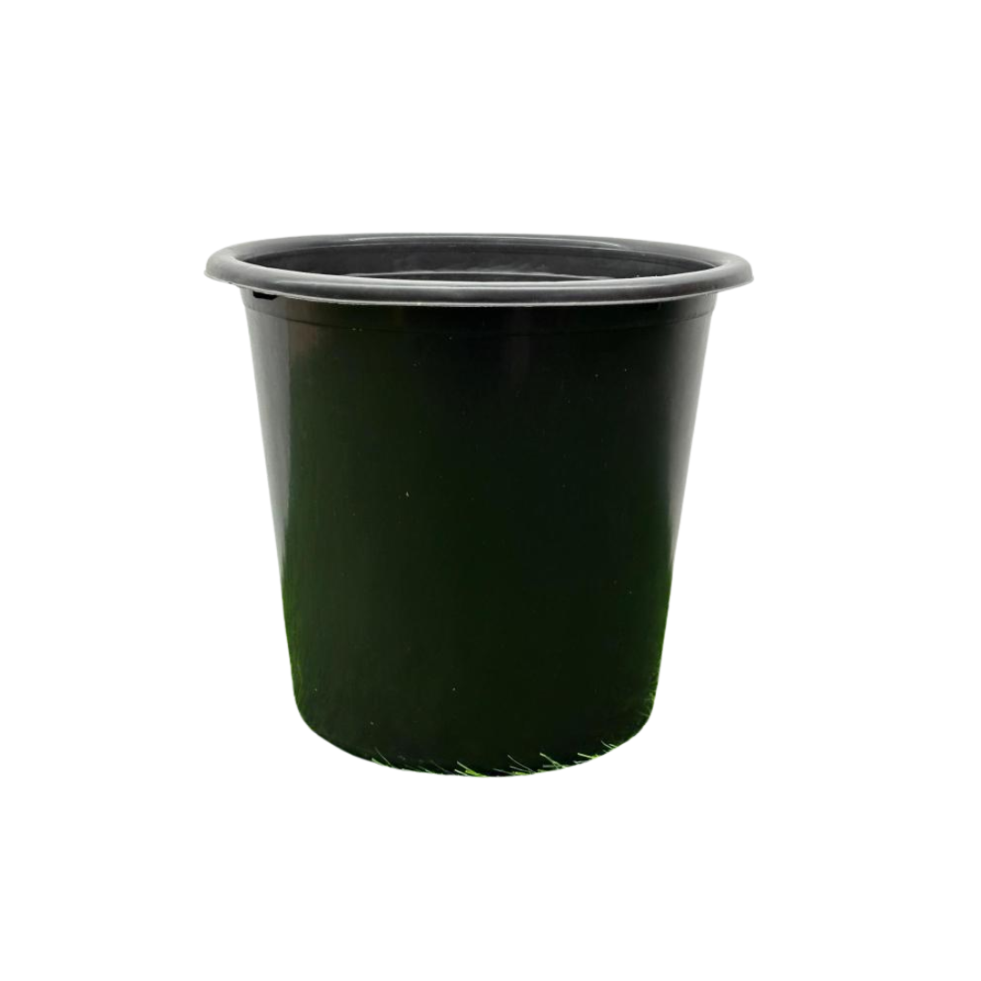 Nursery pot (11) Nursery pot (11)