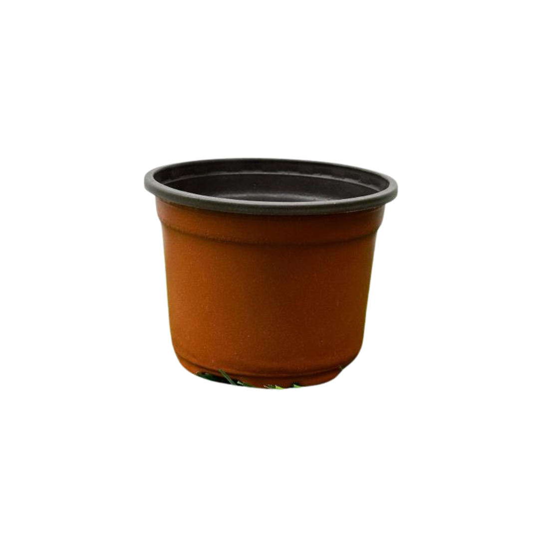 Nursery pot (12) Nursery pot (12)