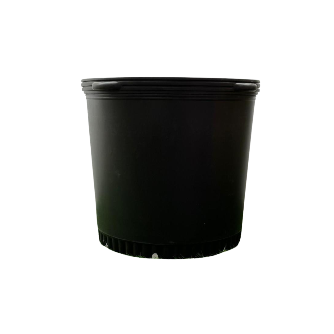 Nursery pot (14) Nursery pot (14)