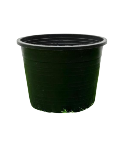 Nursery pot (18)