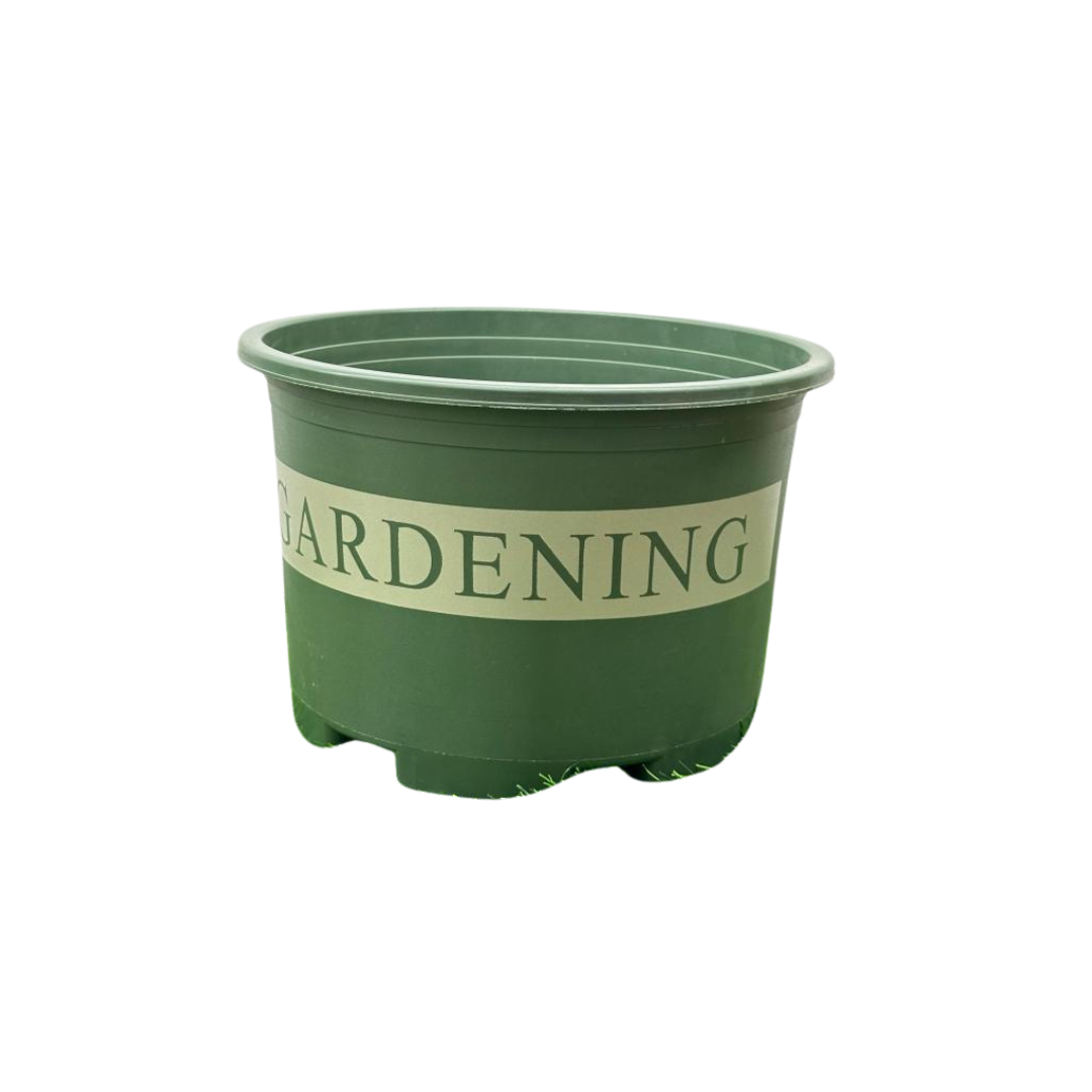 Nursery pot (7) Nursery pot (7)