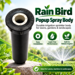 Rain Bird Popup Spray Body | Durable Irrigation Sprinkler Body