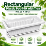 Rectangular Plastic Pot 449 with Tray