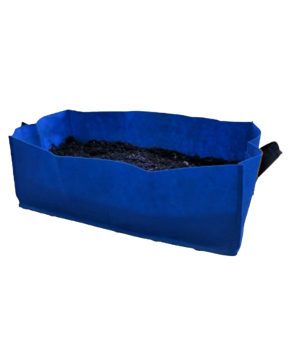blue rectangular grow bags