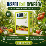 DISPER Calcium and Boron Fertilizer, 1kg