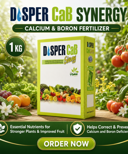 DISPER Calcium and Boron Fertilizer, 1kg