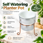 Transparent water container self watering plant pot / Planter pot