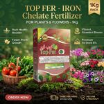 TOP FER, IRON Chelate Fertilizer For Plants