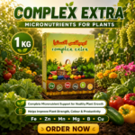 COMPLEX EXTRA, Micronutrients for Plants 1 KG
