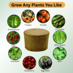 FG ZAIN, Organic Grow Sponge, 31cm x 22cm