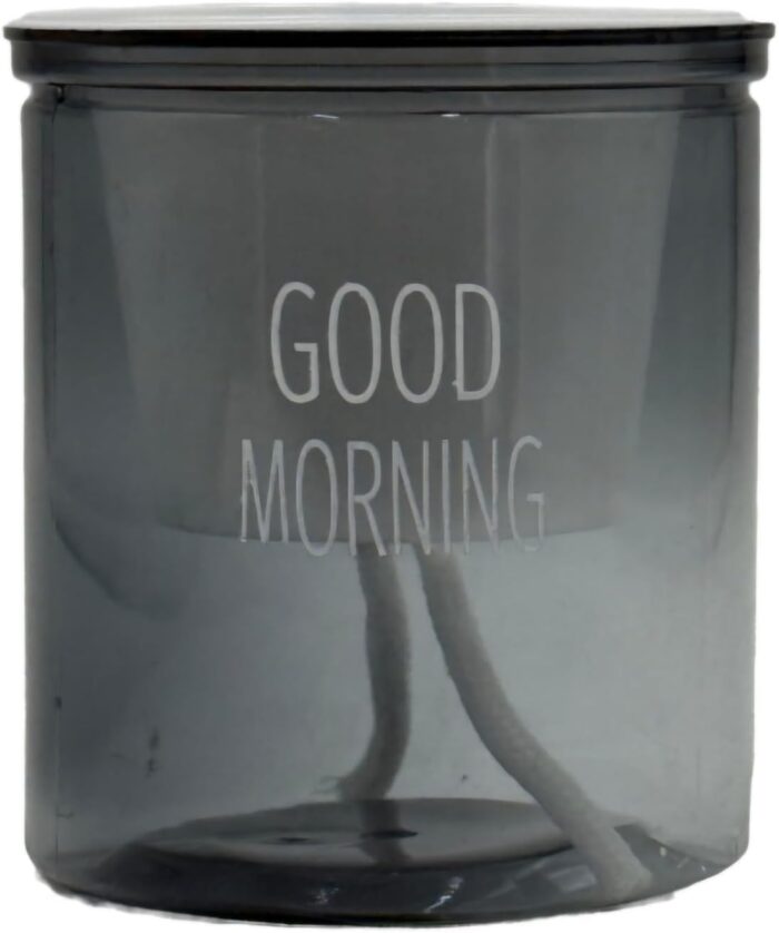 FG ZAIN Good Morning Plant Bottle - Self Watering Pot- black