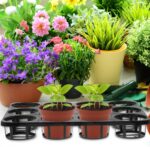 12 hole tray