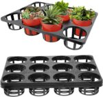 12hole tray