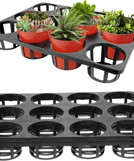 12hole tray