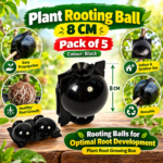 plant Rooting Ball 8 CM, Colour- Black, Pack of 5