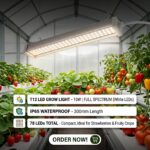 grow light