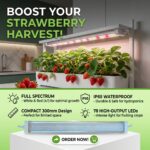FG ZAIN T12 LED Grow Light 10W Full Spectrum – White & Red LEDs (4:1)