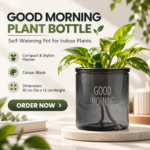 FG ZAIN Good Morning Plant Bottle – Self Watering Pot for Indoor Plants