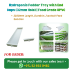 Hydroponic Fodder Tray with End Caps (32mm Hole) Food Grade UPVC
