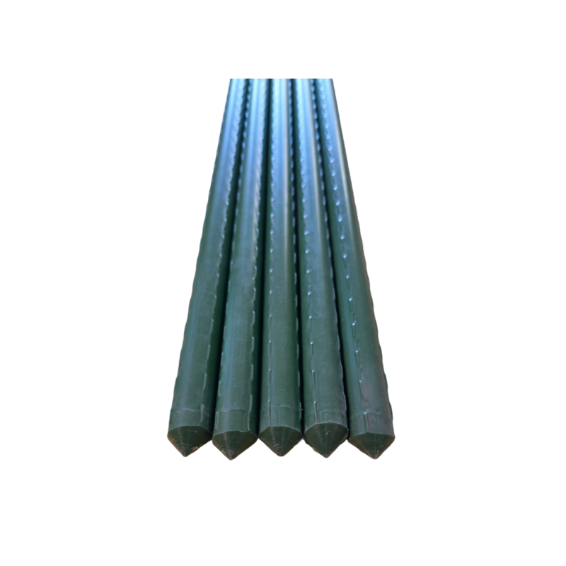 FG ZAIN PVC Coated Metal Plant Stick – 150 cm Height, 16 mm Thickness
