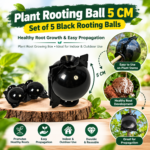 FG ZAIN Plant Rooting Ball 5 CM, Set of 5 Black Rooting Balls
