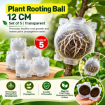 FG ZAIN Plant Rooting Ball 12 cm, Colour- Transparent, Set of 5
