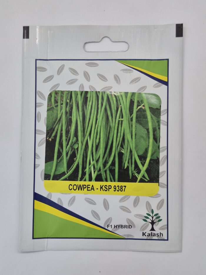 KALASH COWPEA - KSP 9387 F1 Hybrid Seeds - 100 Seeds