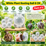 FG ZAIN Plant Rooting Ball 8 CM, Colour- Transparent, Set of 5