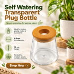 FG ZAIN Self Watering Transparent Plug Bottle, Ideal for Indoor Plants